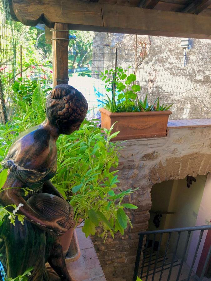 B&B La Fontana Di Pegaso Тиволи Екстериор снимка